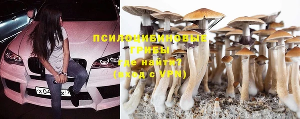 кокс Майский