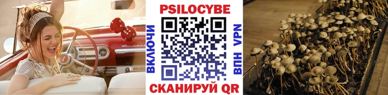 Галлюциногенные грибы прущие грибы  купить   Шилка 