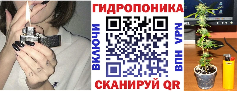 где купить наркотик  Шилка  маркетплейс как зайти  Бошки Шишки планчик 